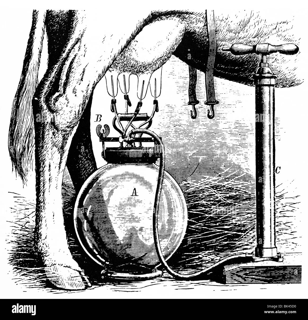 Knollin s Milking Machine, 1877 Stock Photo