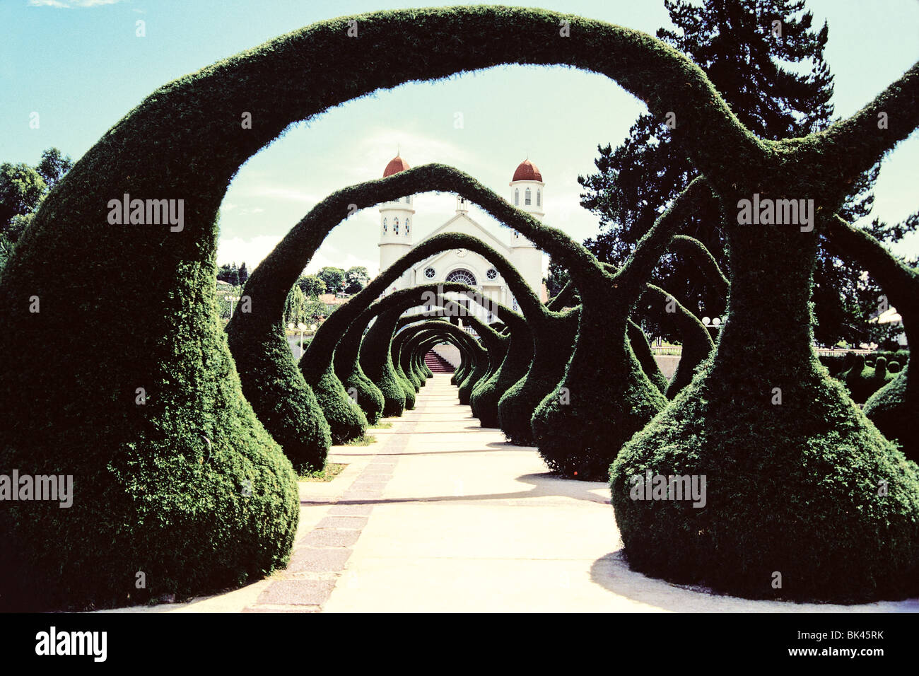 Topiary archways carved from conifer cypress in front of Iglesia de San Rafael, Zarcero, Costa Rica Stock Photo