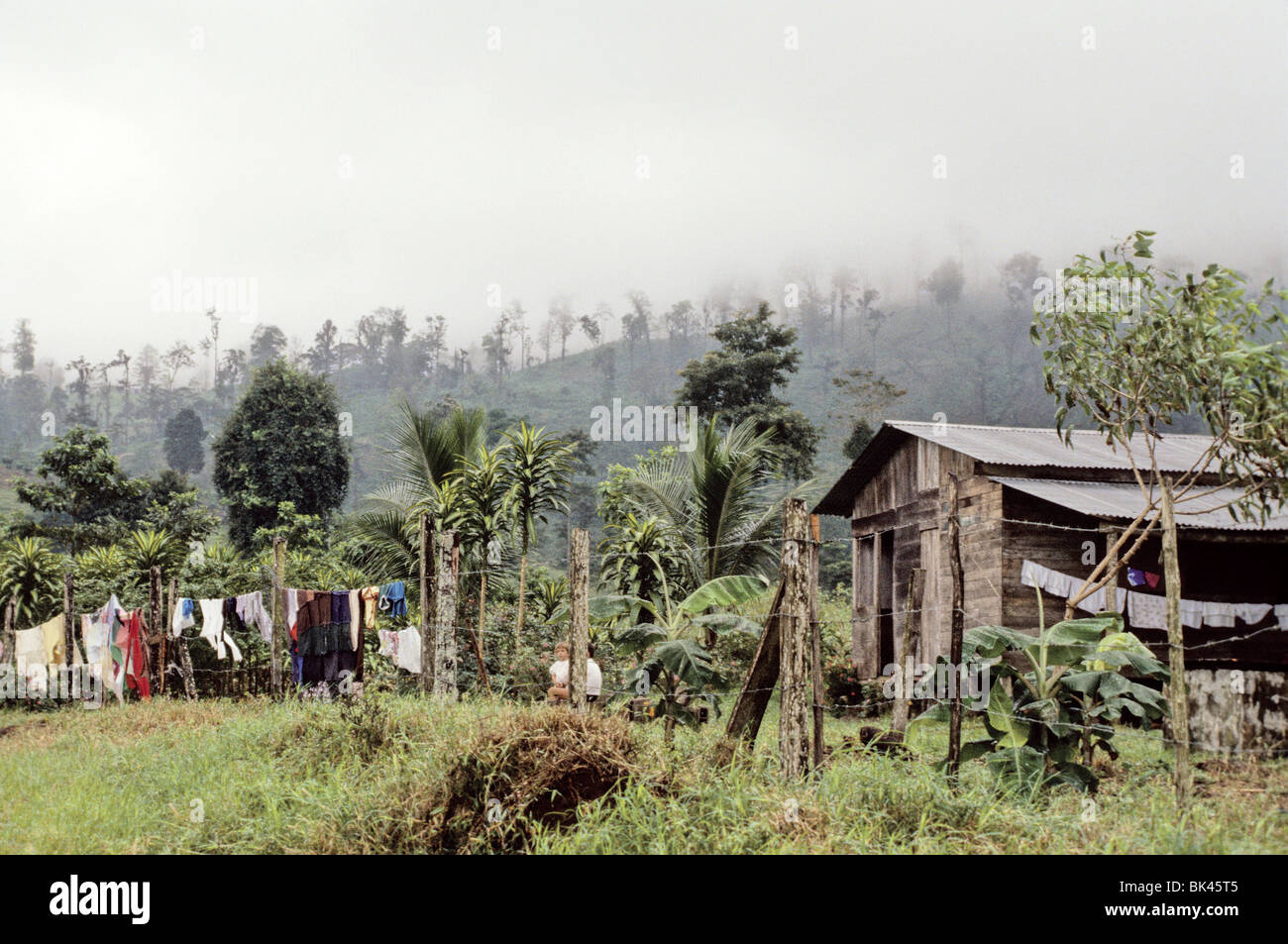 Foggy tropical scene of a rural dwelling with clothes drying, Costa Rica Stock Photo