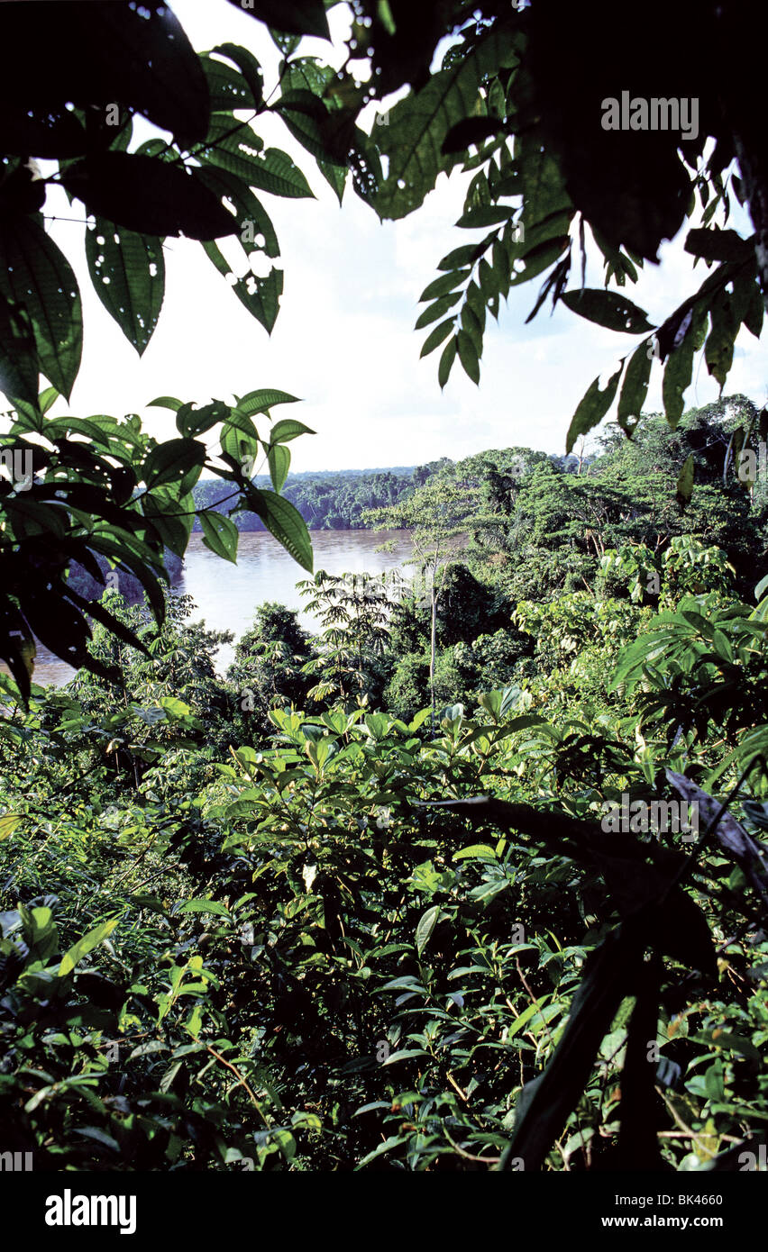 Scenic view of rainforest and the Aguarico River, Ecuador Stock Photo
