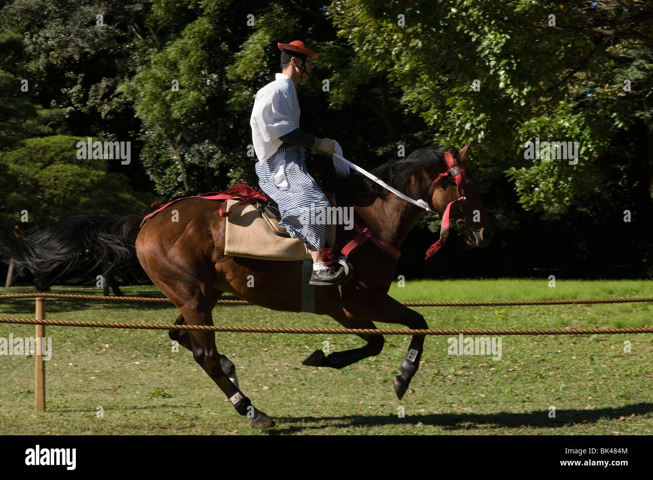 Horse Japan Japanese Mounted Archery Tradition Stock Photo Alamy