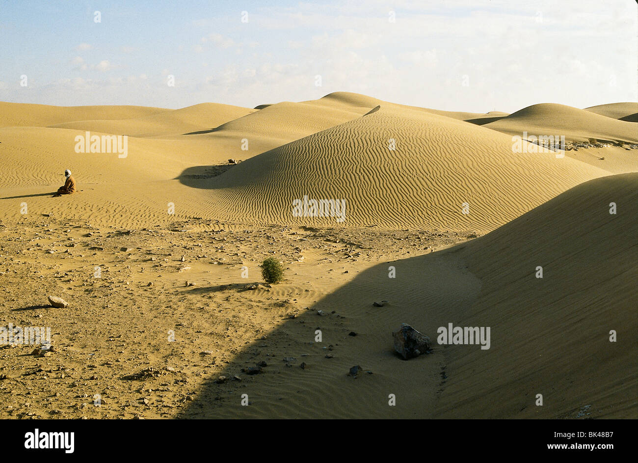 Man on knees facing away hi-res stock photography and images - Alamy