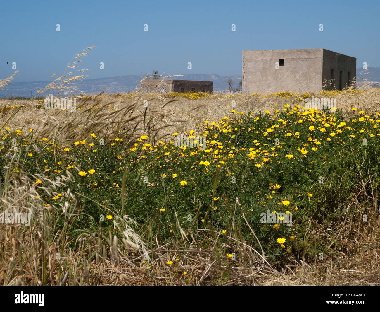Paphos old town park hi-res stock photography and images - Alamy