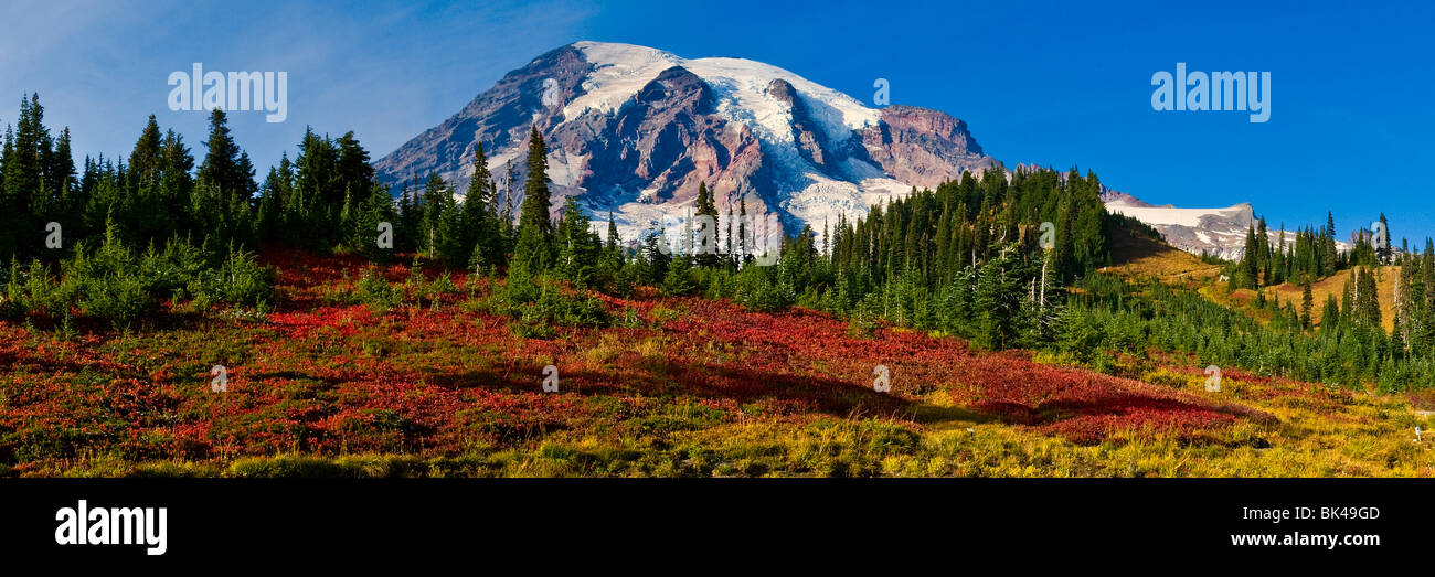 Mount Rainier in the fall in the Paradise area of Mount Rainer National Park, Washington, USA Stock Photo