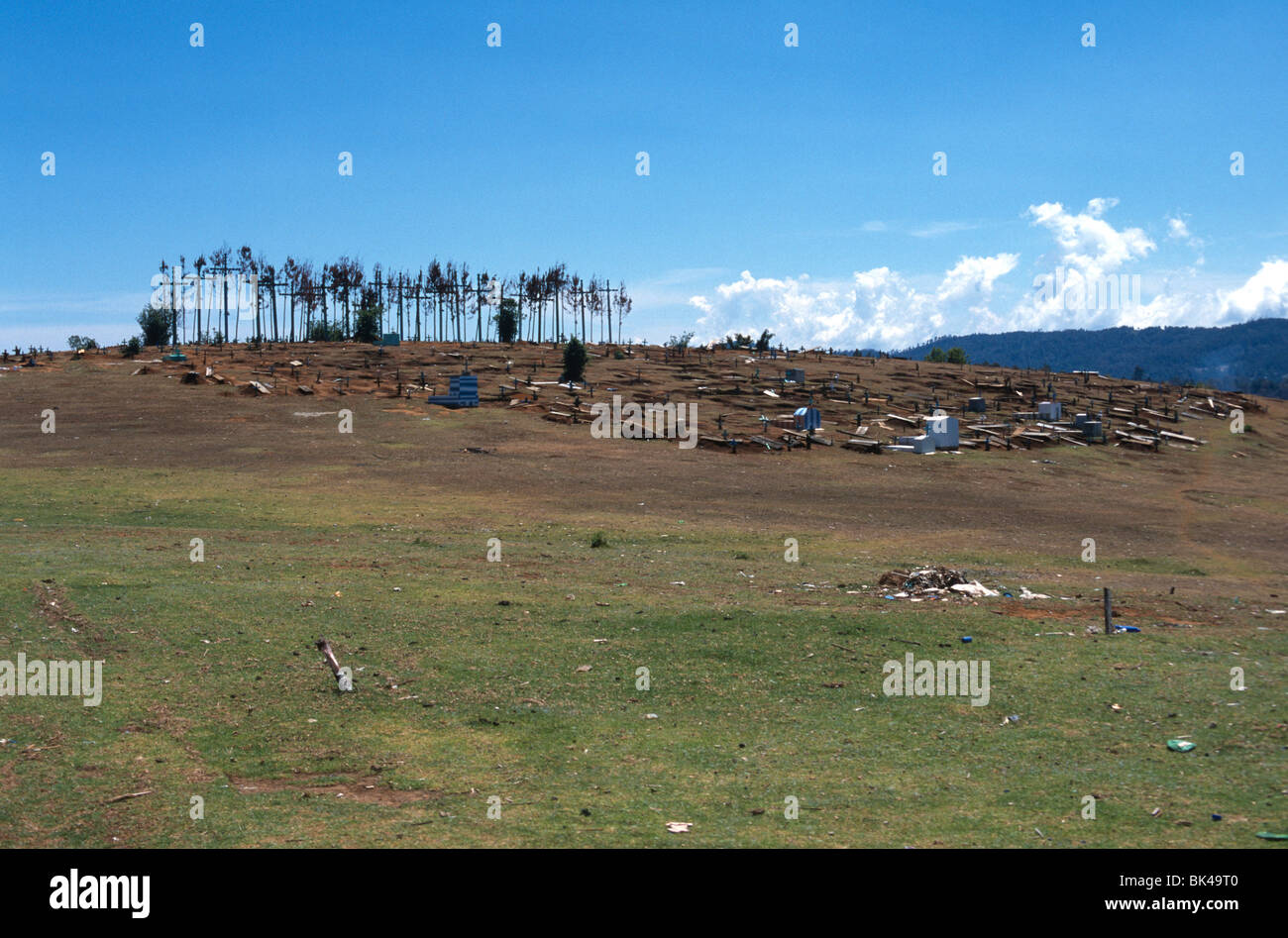 A hilltop cemetery with fir trees placed next to large crucifixes.  Near Las Rosas, Chiapas, Mexico. Stock Photo