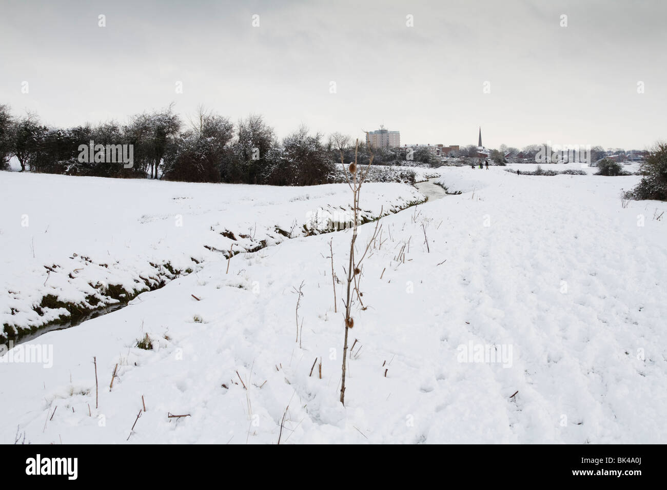Looking towards Bridgwater town centre along Durleigh Brook on The