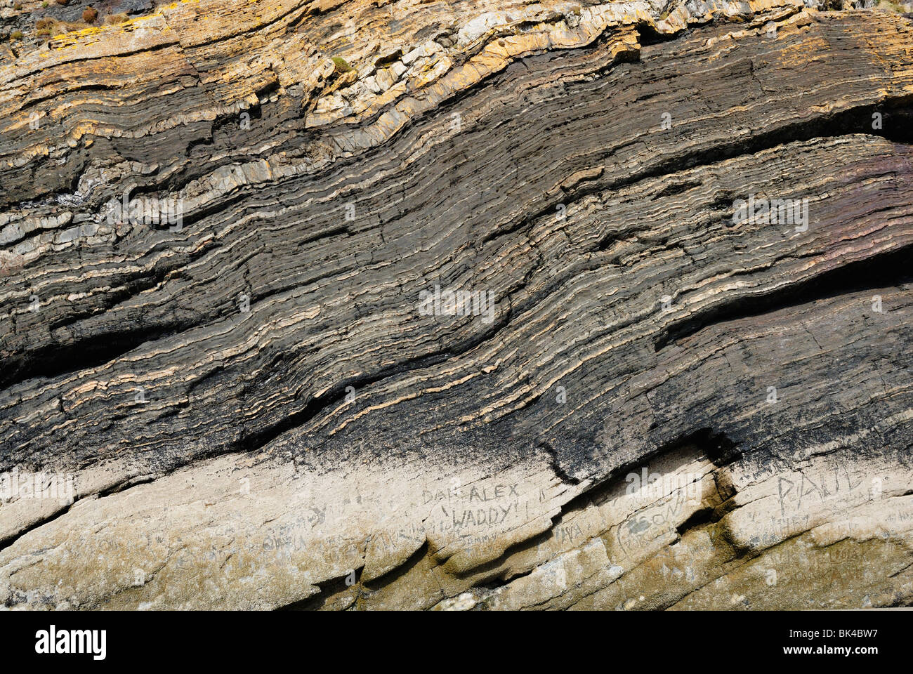 Sea cliff showing the layers and banding of the strata in sedimentary