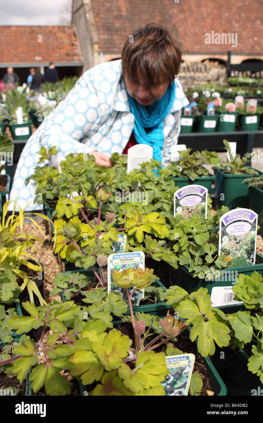 Choosing perennial plants hires stock photography and images Alamy