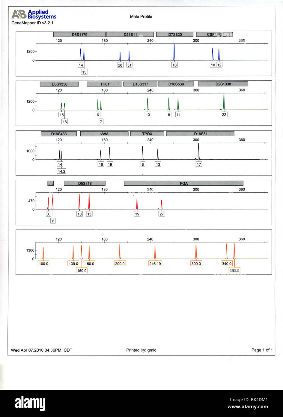 Male DNA profile printout. Printed from the Nebraska State Police Crime