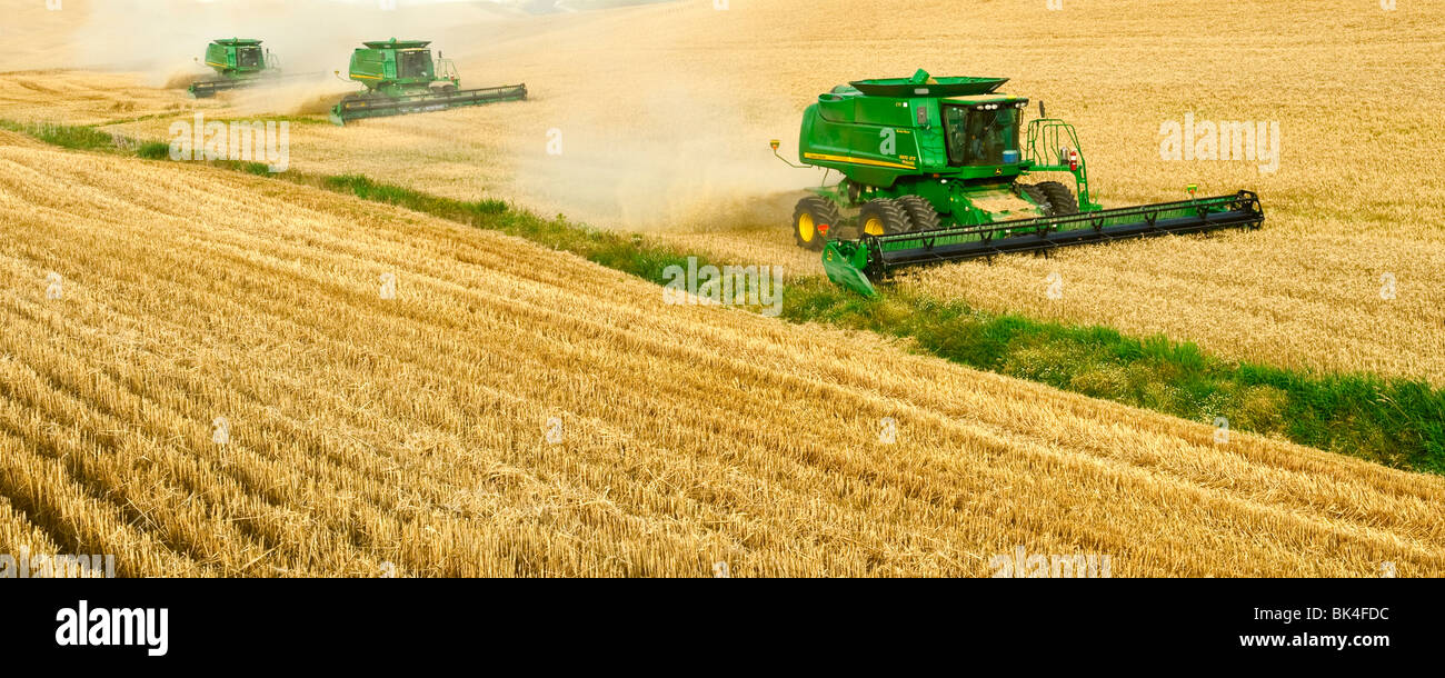 Three John Deere combines  harvest soft white wheat in the Palouse region of Eastern Washingtion Stock Photo