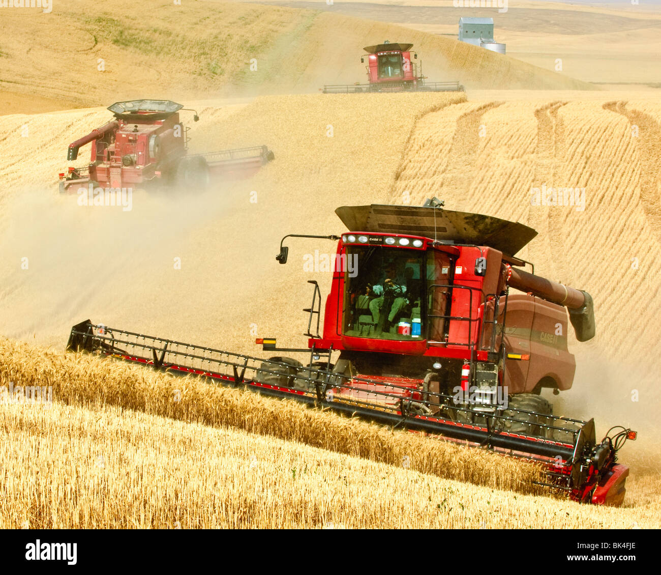 A team of combines harvest wheat on the hills of the Palouse region of Washington Stock Photo