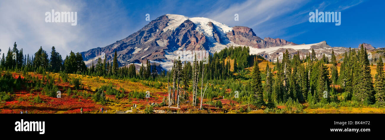 Mount Rainier in the fall in the Paradise area of Mount Rainer National Park, Washington, USA Stock Photo