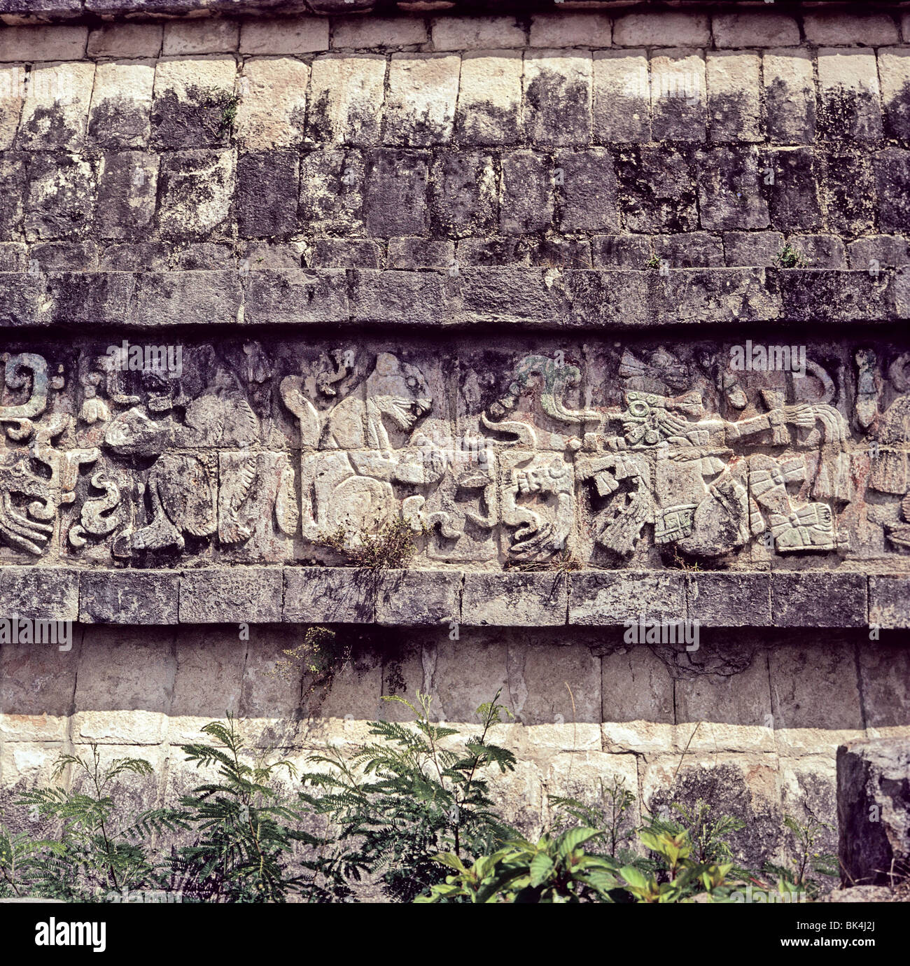 Relief sculpture depicting jaguars holding human hearts, Chichen Itza, Mexico Stock Photo