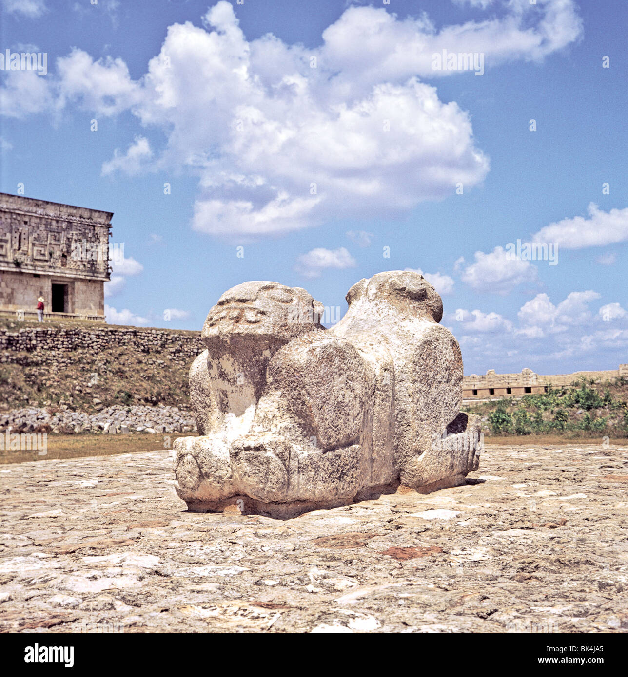 Two headed jaguar sculpture front of Governor's Palace maybe used as throne. Late Classical Mayan Site of Uxmal Yucatan Mexico Stock Photo