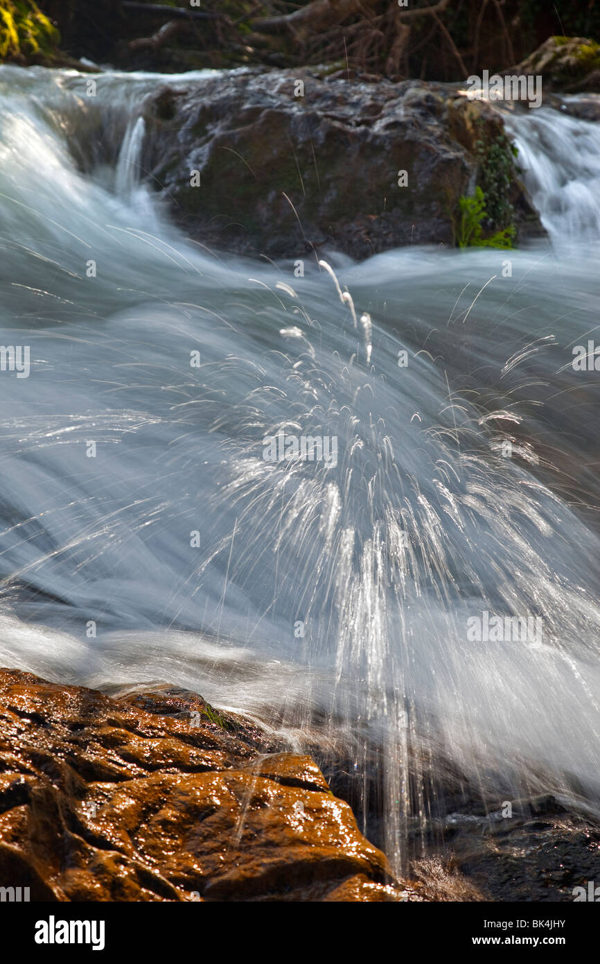 splash of river water Stock Photo
