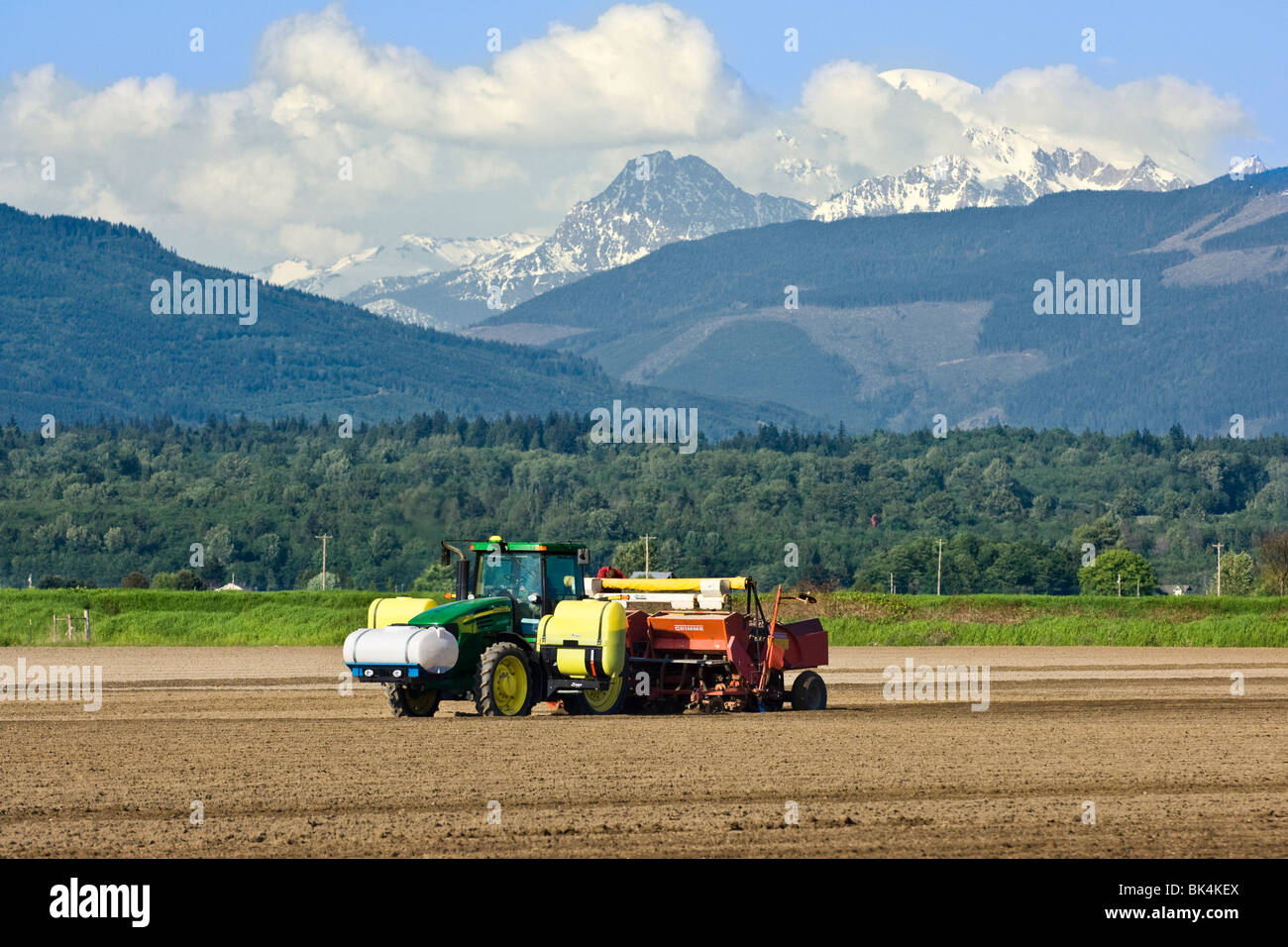 Planting potatoes with a 4 row planter being pulled by a John Deere tractor in the spring in Skagit County, Washington Stock Photo