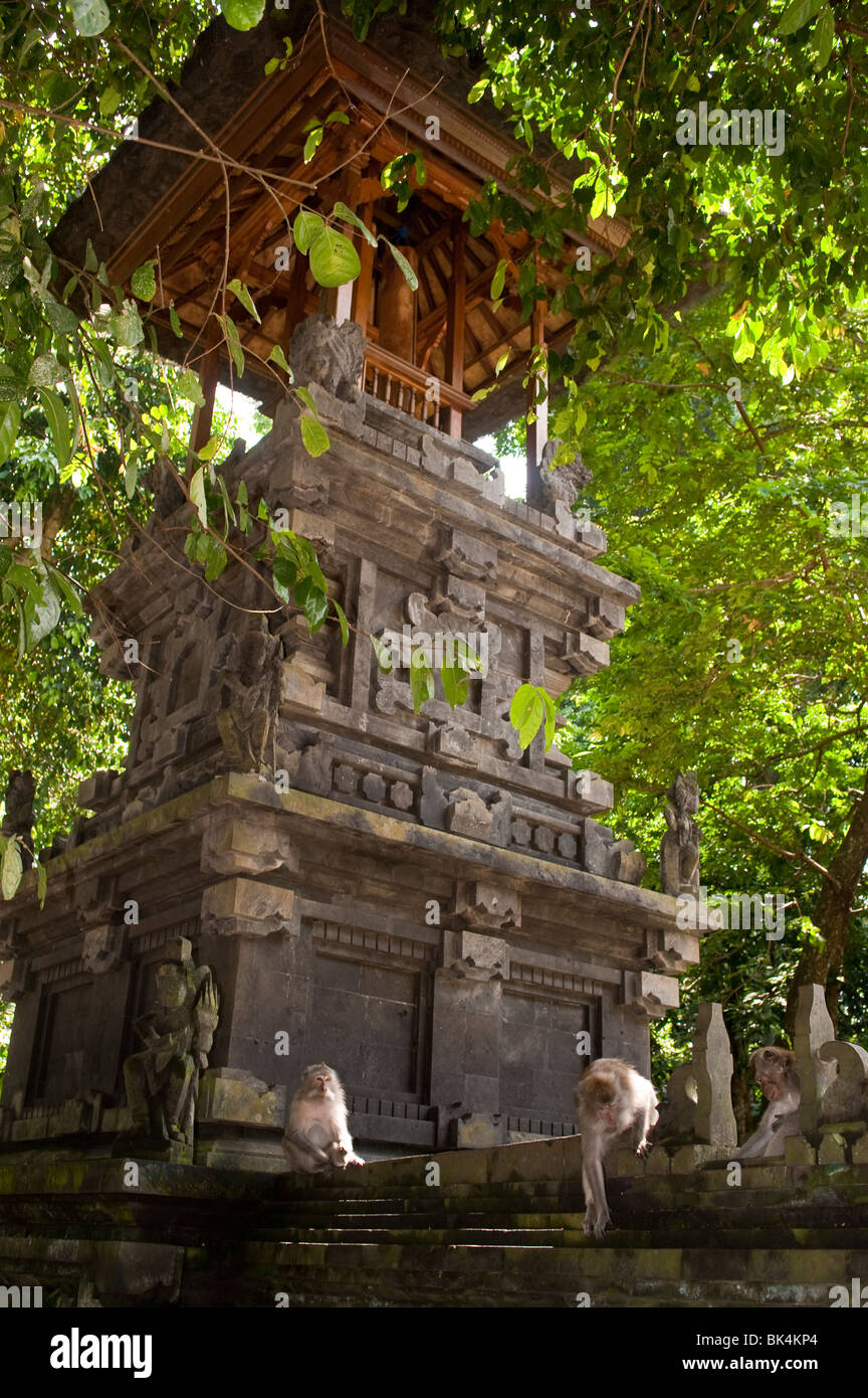 Pura Dalem, The Monkey Temple, Bali, Indonesia Stock Photo