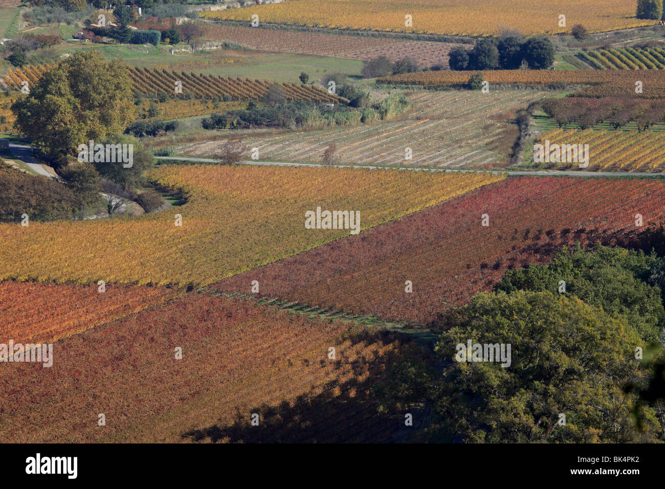 Overview of Luberon  autumnal vineyards in the heart of Provence Stock Photo