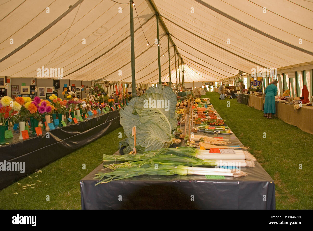An array of produce and craft on display at the agricultural show Kington Herefordshire Stock Photo