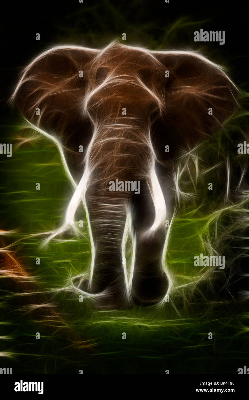 Elephant Impression Stock Photo