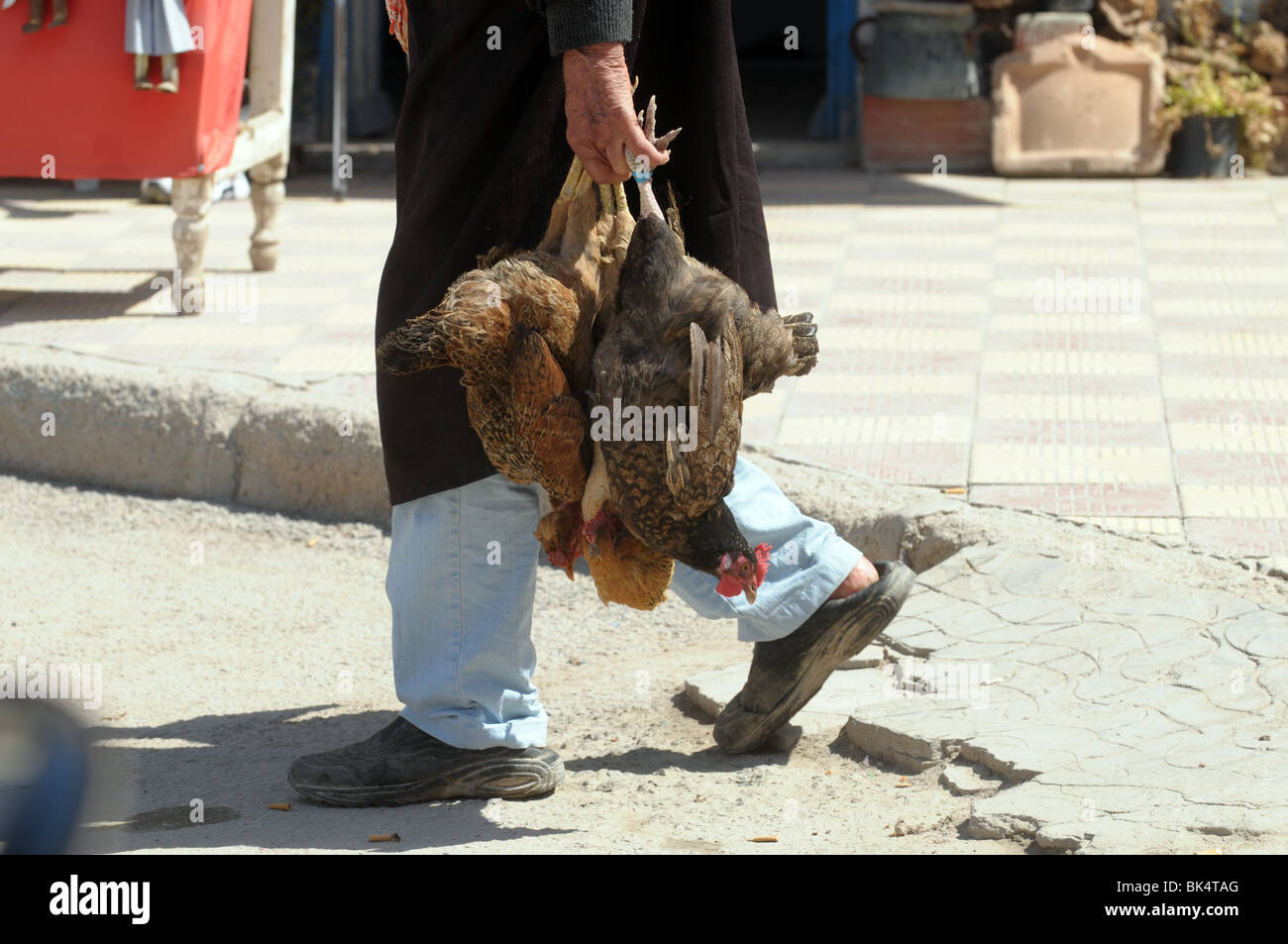 Arab man walking along the street with dead chickens Stock Photo