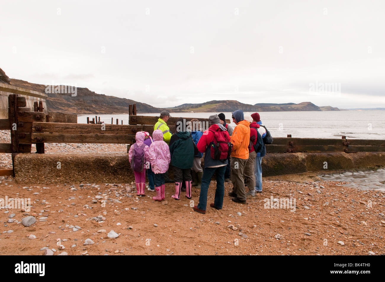 Fossil Hunting on Lyme Regis Beach on the Jurassic Coast Dorset UK