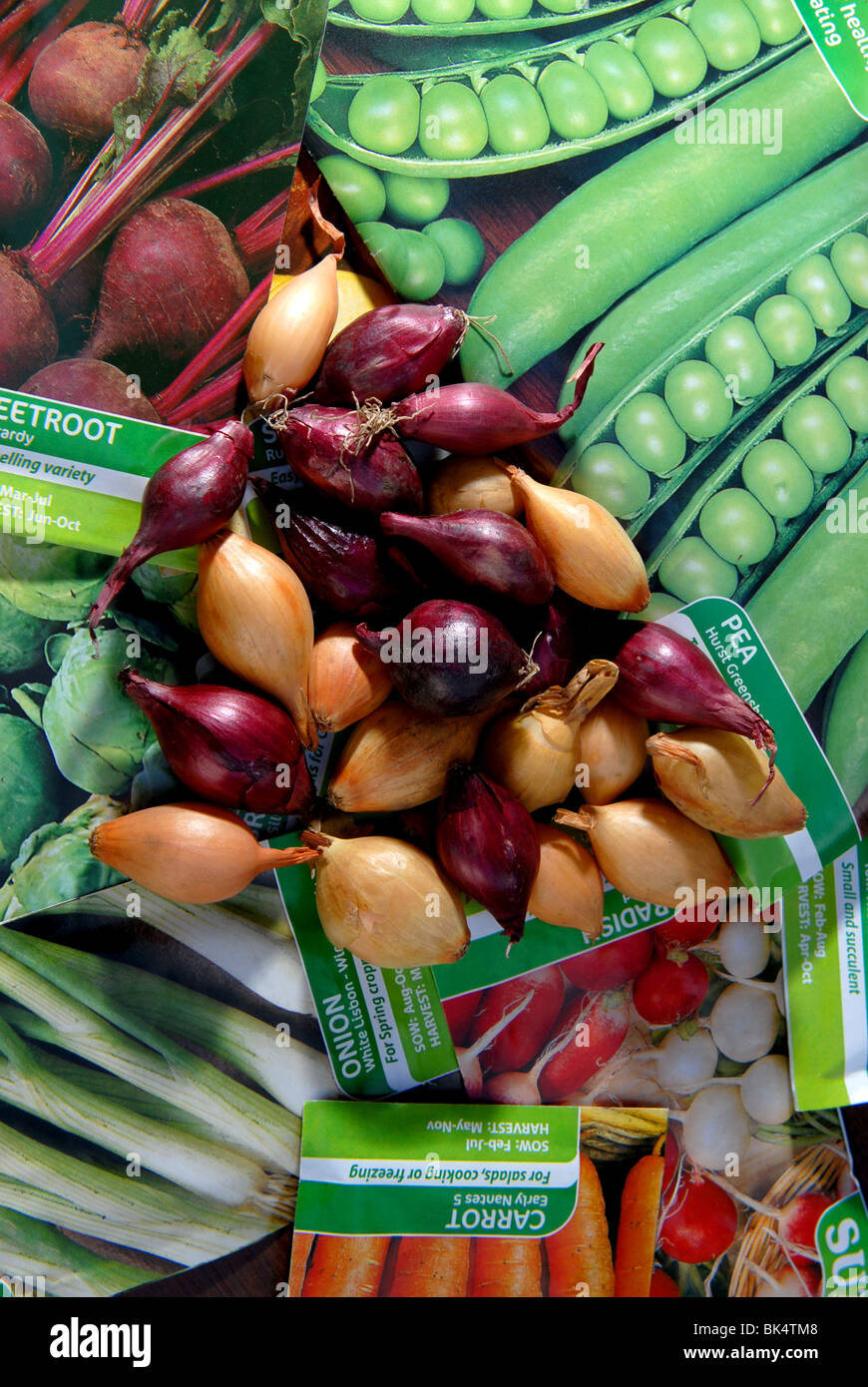 a variety of vegetable seeds and bulbs ready to be planted in a small