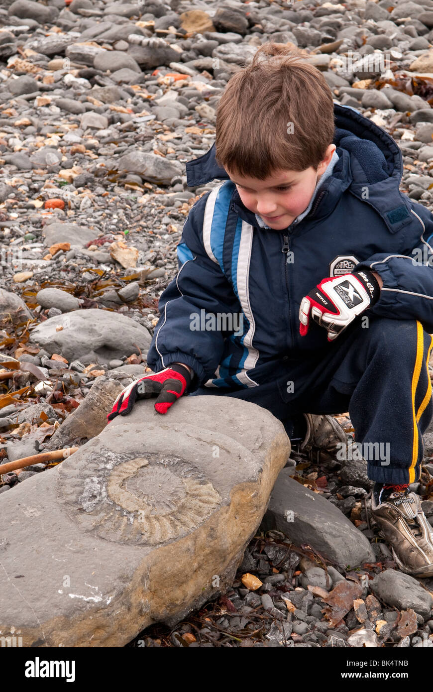Young Boy Fossil Hunting on Lyme Regis Beach on the Jurassic Coast