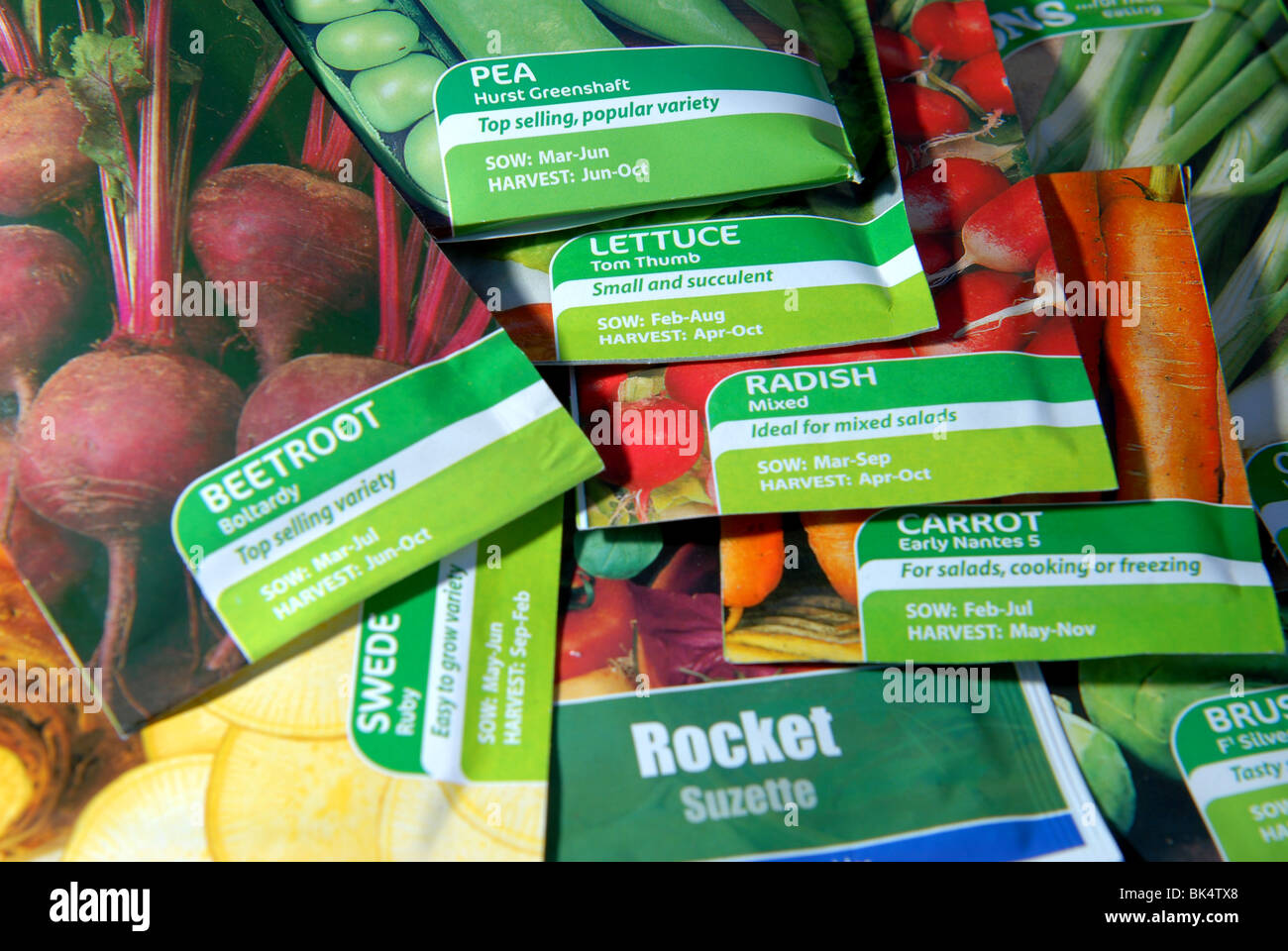 a variety of vegetable seeds and bulbs ready to be planted in a small