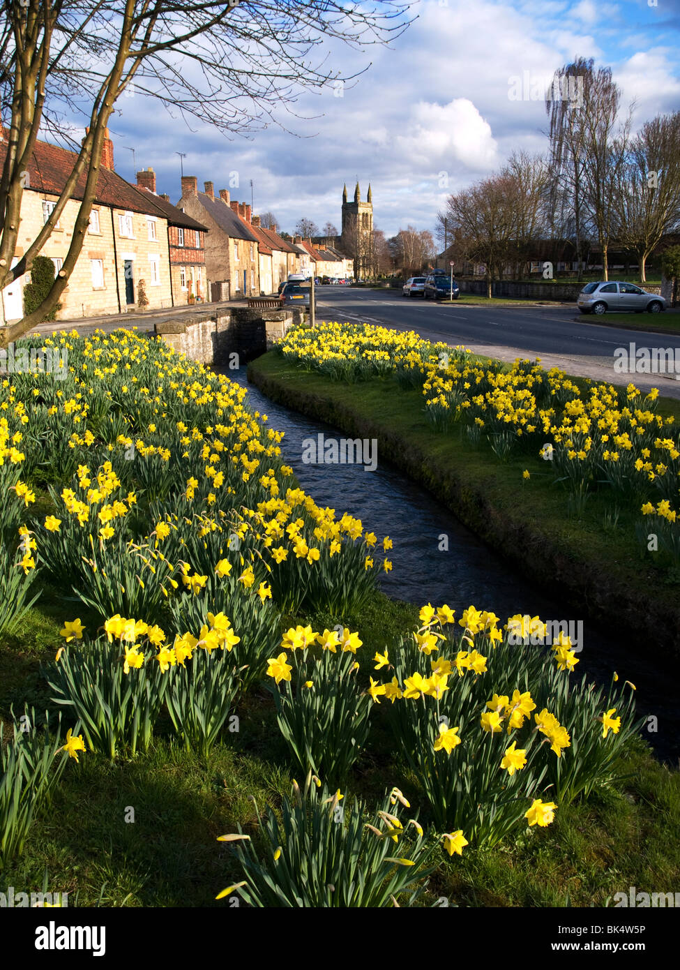 Daffodils yorkshire national park hires stock photography and images Alamy