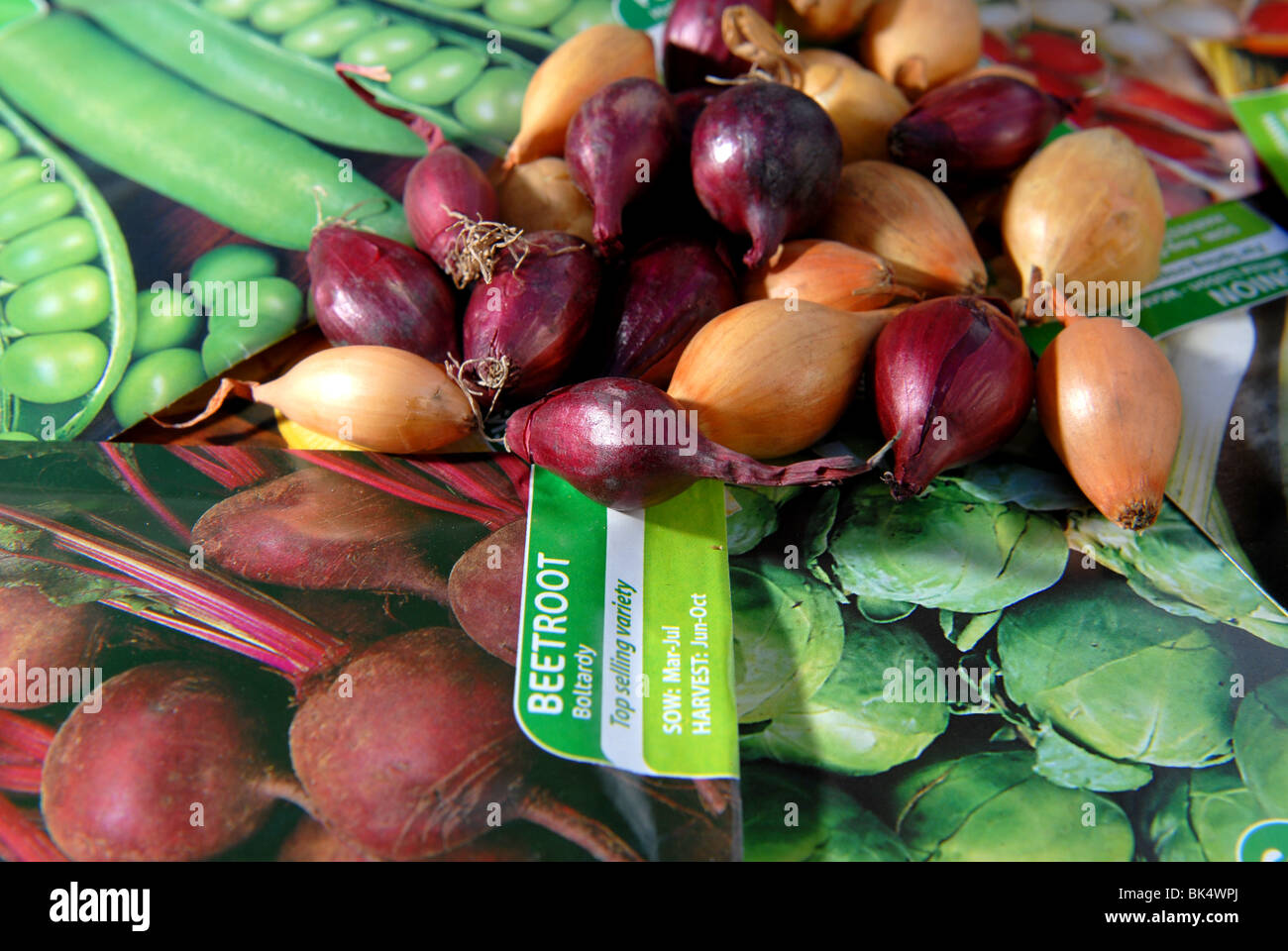 a variety of vegetable seeds and bulbs ready to be planted in a small