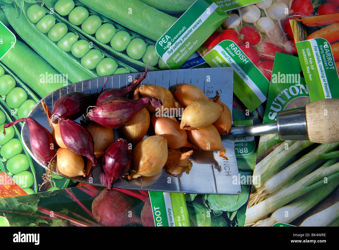 Packet of beetroot seeds hires stock photography and images Alamy