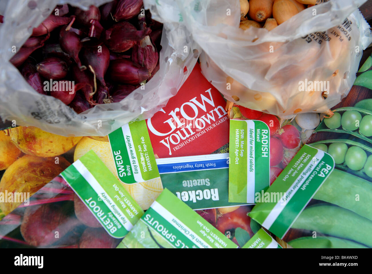a variety of vegetable seeds and bulbs ready to be planted in a small