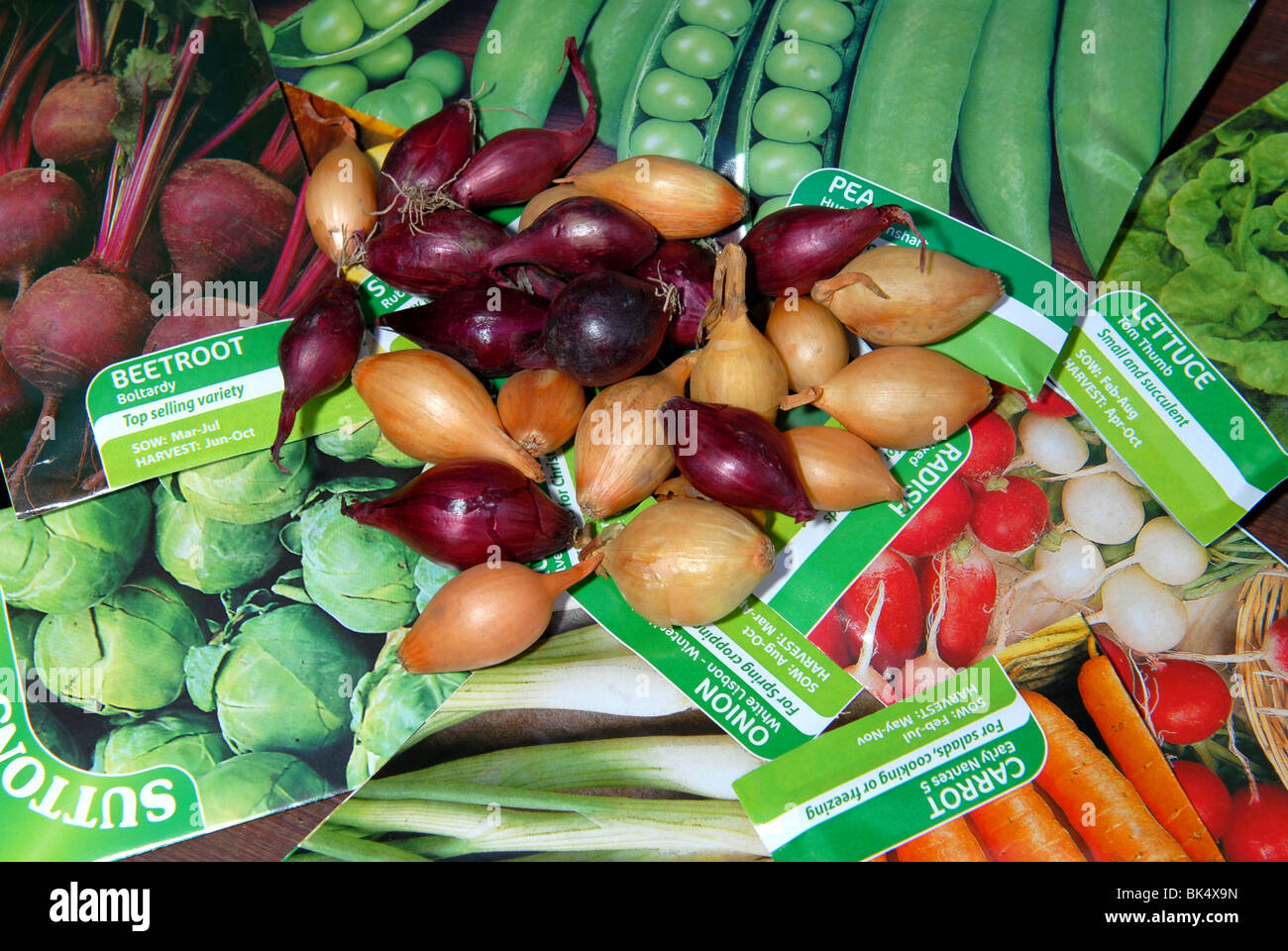 a variety of vegetable seeds and bulbs ready to be planted in a small