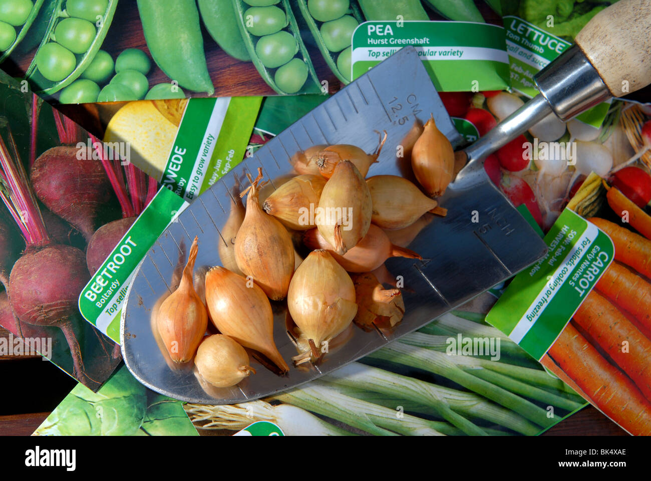 a variety of vegetable seeds and bulbs ready to be planted in a small