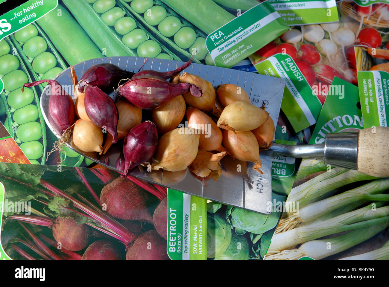 a variety of vegetable seeds and bulbs ready to be planted in a small