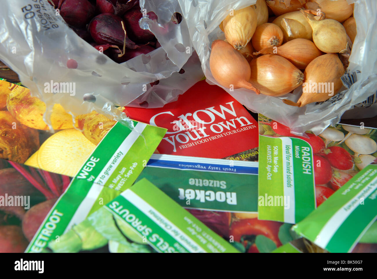 a variety of vegetable seeds and bulbs ready to be planted in a small
