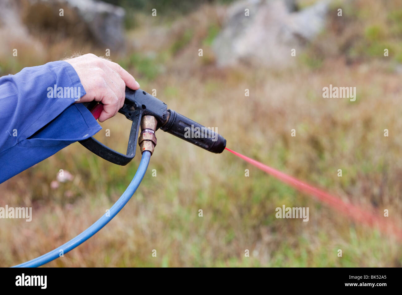 Spraying weed killer on introduced plant species that are out competing with native flora in the Snowy Mountains, Australia. Stock Photo