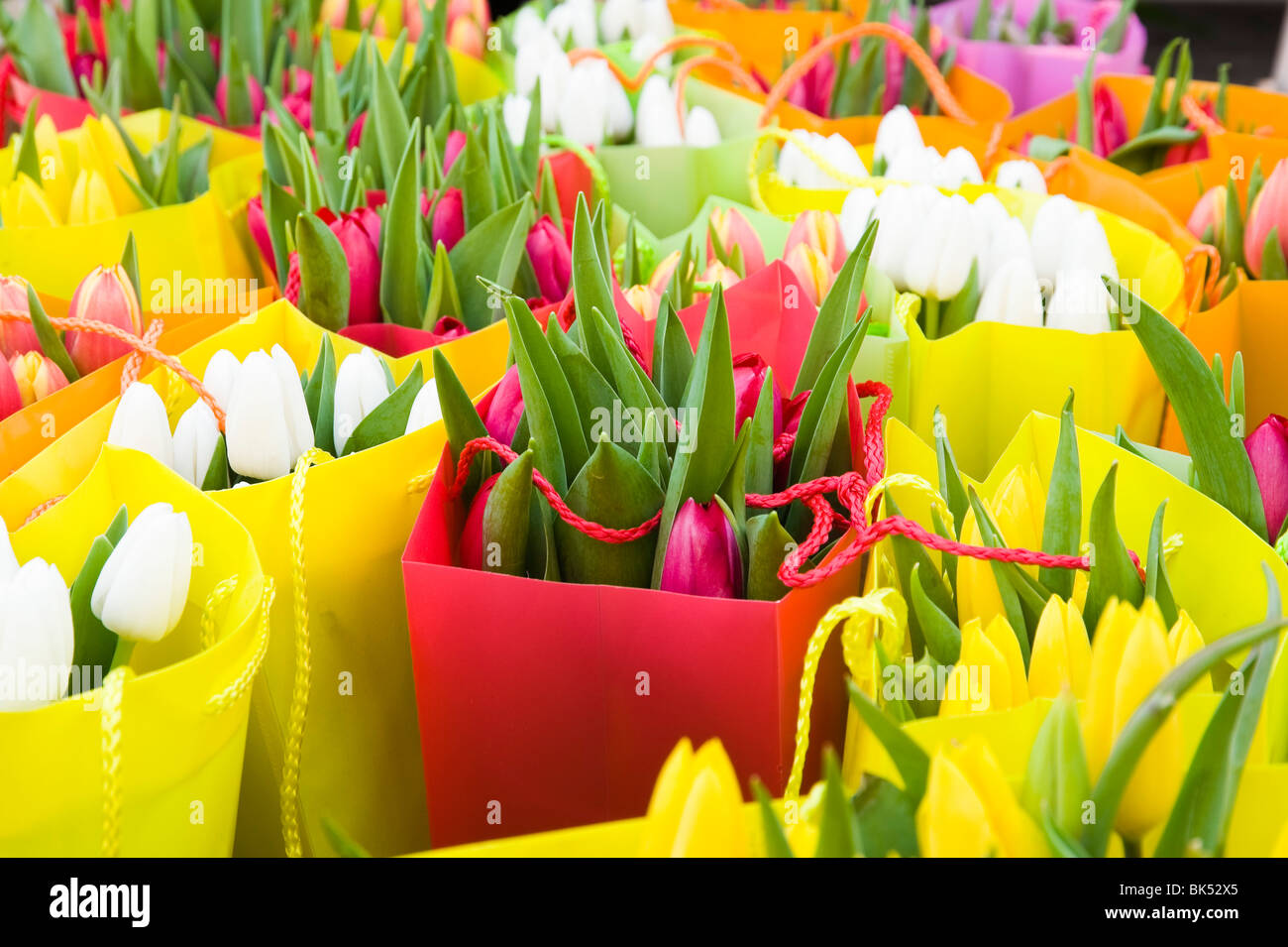 Tulips at Flower Market, Salzburg, Austria Stock Photo
