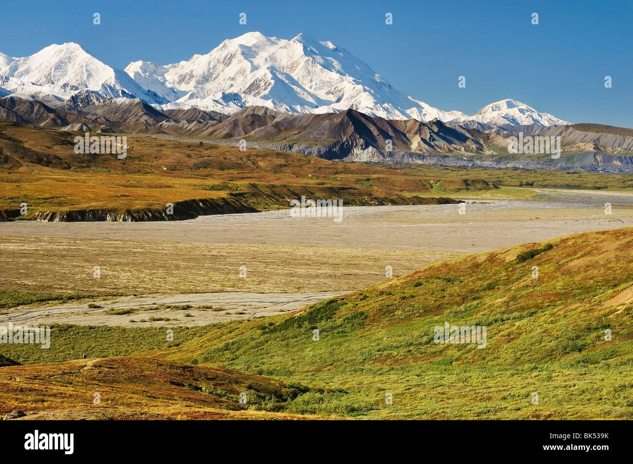 Mount McKinley, Denali National Park and Preserve, Alaska, USA Stock