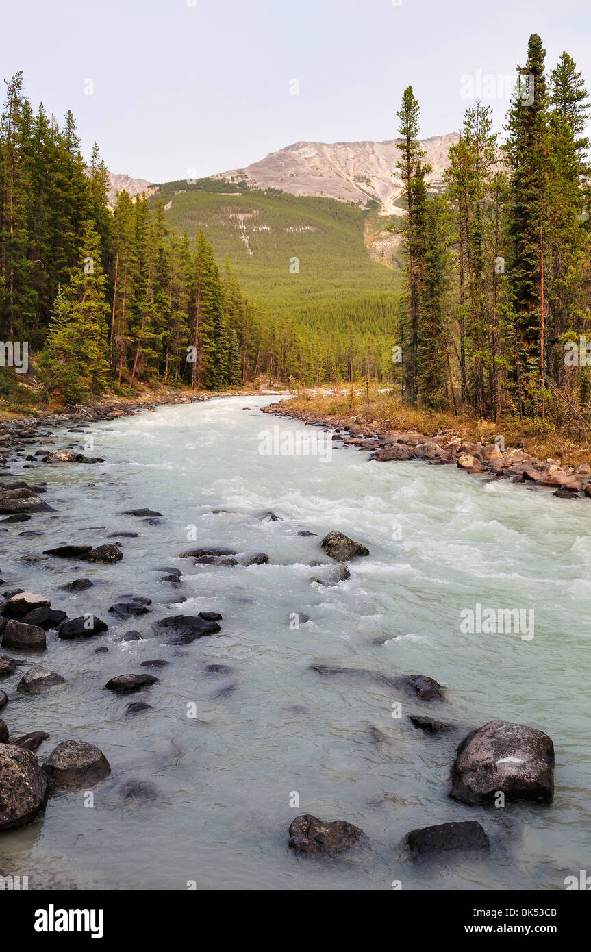 White River National Forest Rockies Hi res Stock Photography And Images white-river-national-forest-rockies-hi-res-stock-photography-and-images