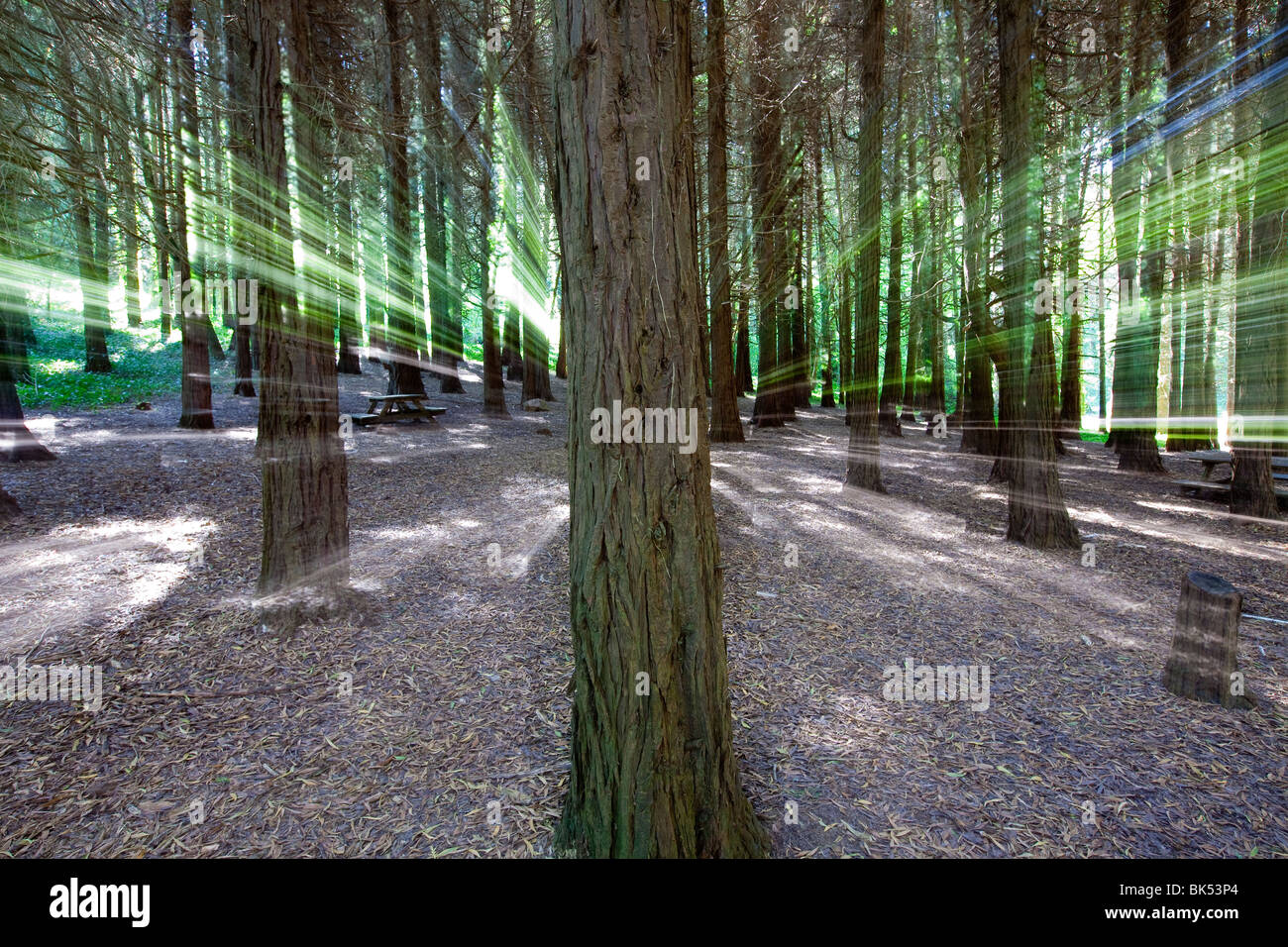 alamy stock photo portones alamy stock photo portones