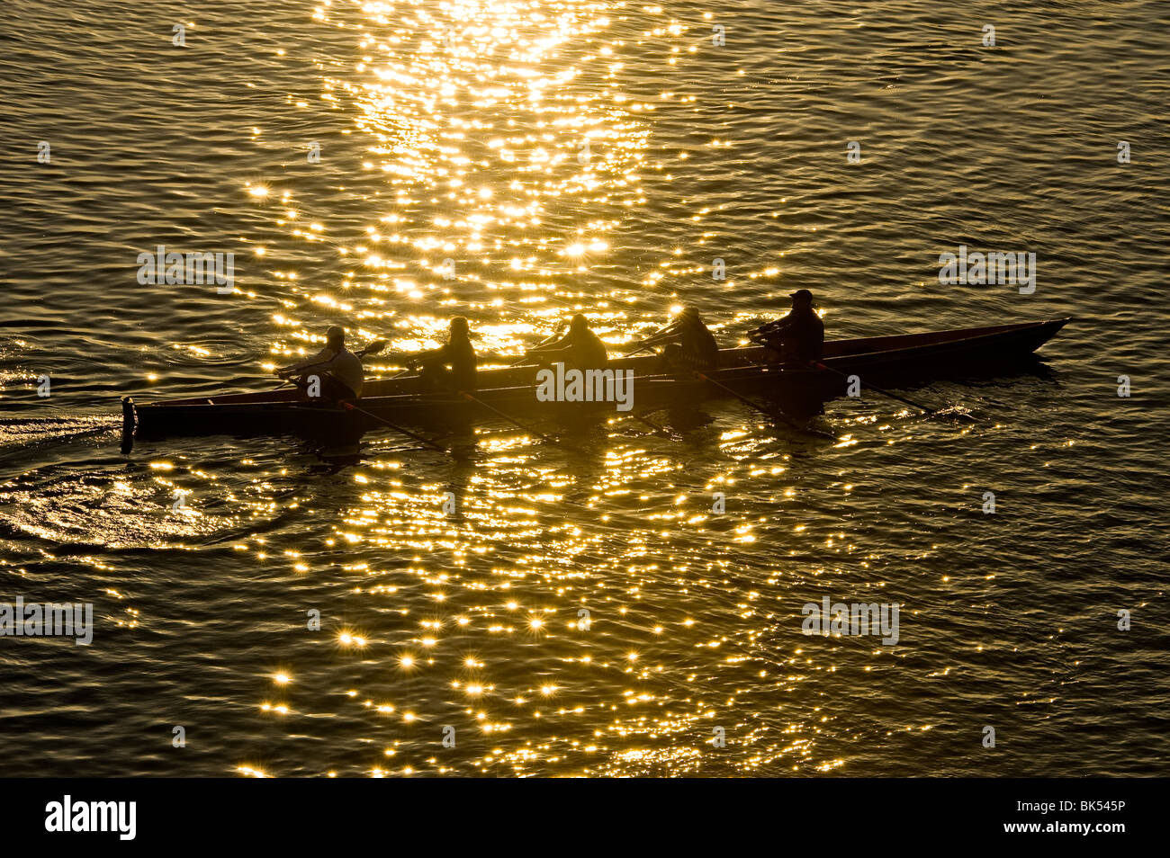 oarsman rower sculler row rowing sports paddle paddling at sundown sunset sun light sunny  backlight water river gold golden yel Stock Photo