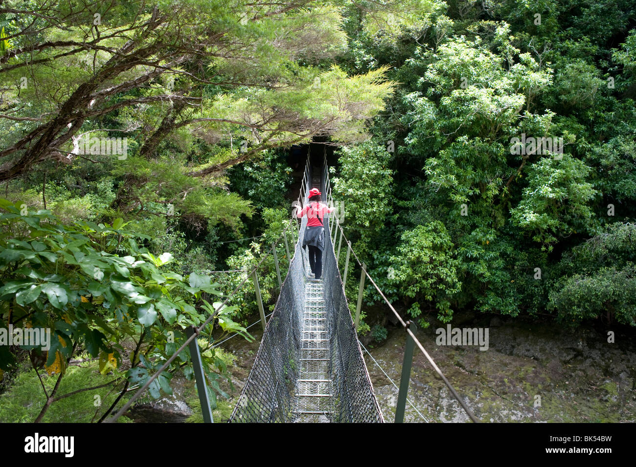 Forest rope bridge hike hires stock photography and images Alamy