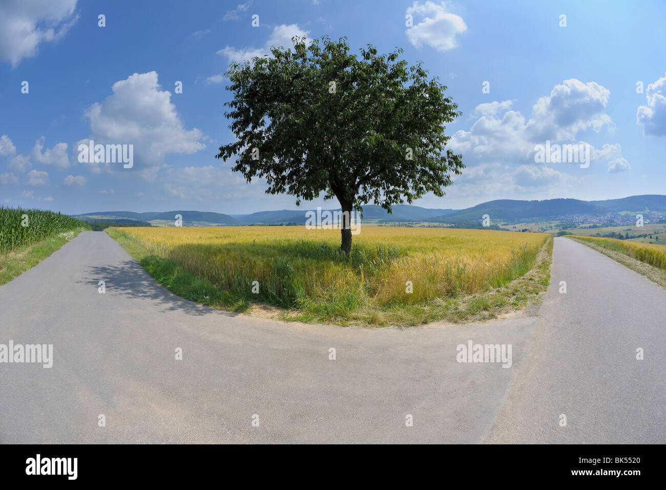 Forked Roa's Middle fork road hi-res stock photography and images - Alamy