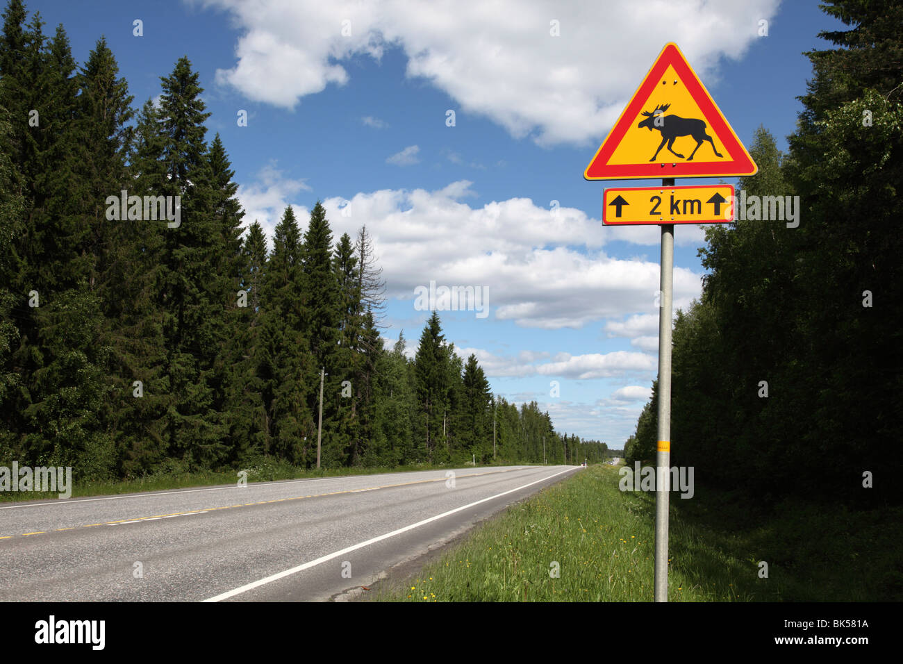 Road sign for elk crossing, Highway Number 14, Punkaharju Ridge, Savonlinna, Savonia, Finland, Scandinavia, Europe Stock Photo