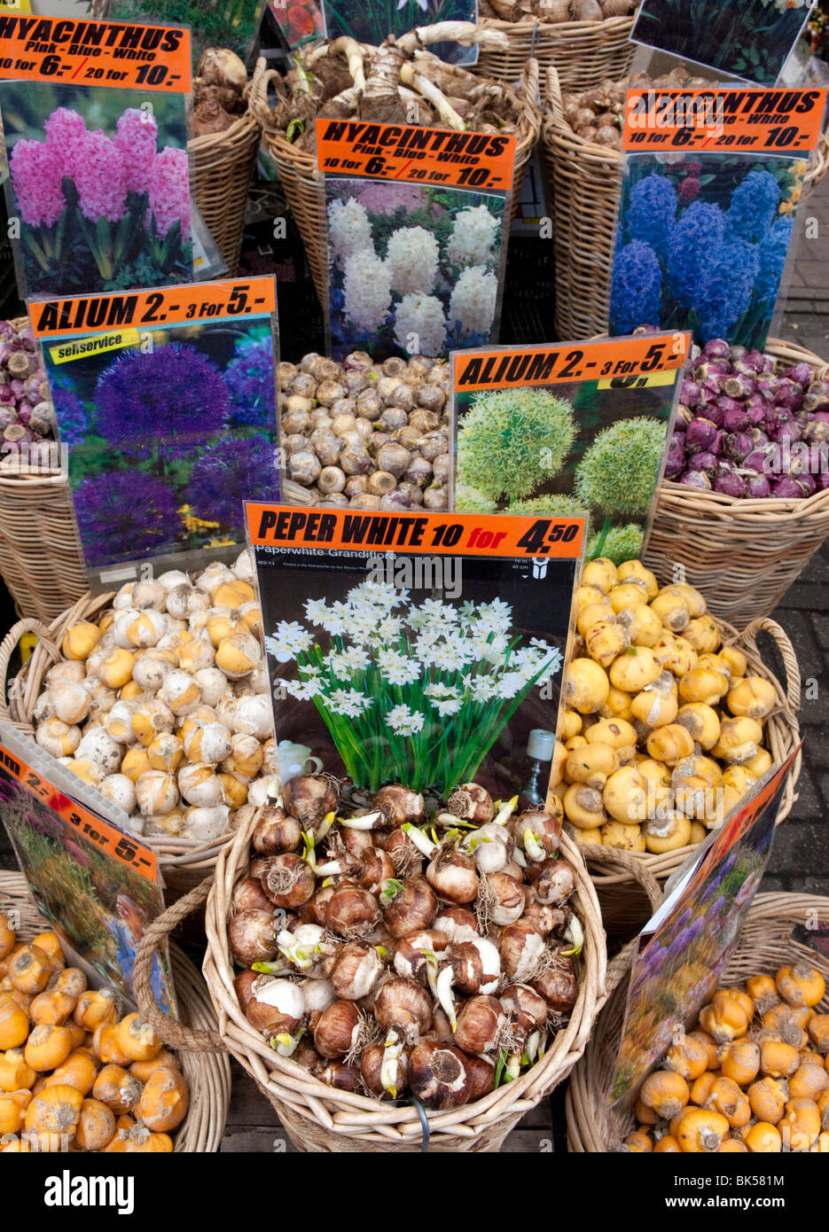 Flower bulbs for sale in flower market in central Amsterdam in