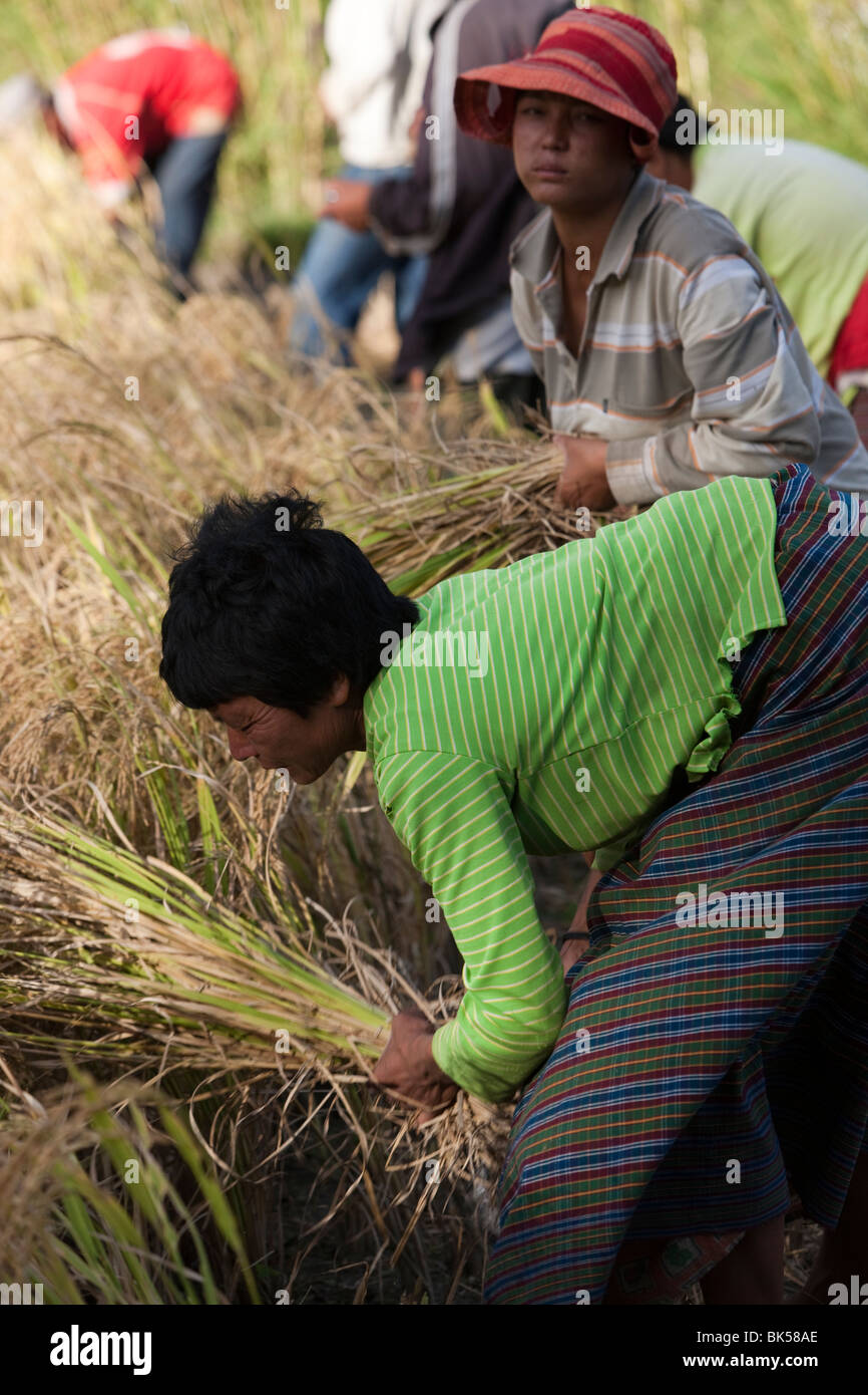 From a series of images shot while traveling in Bhutan Stock Photo