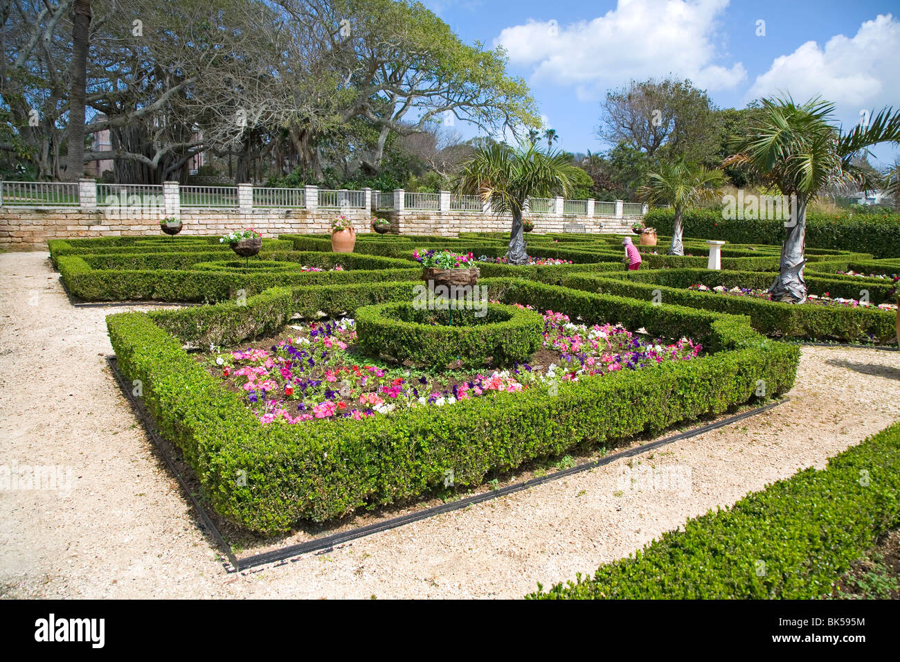 A Formal Garden 17th Century Style English Parterre Garden That