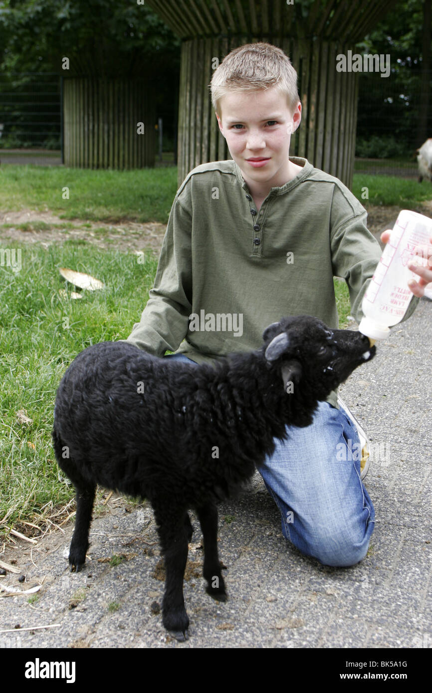Boy Large Lamb Black